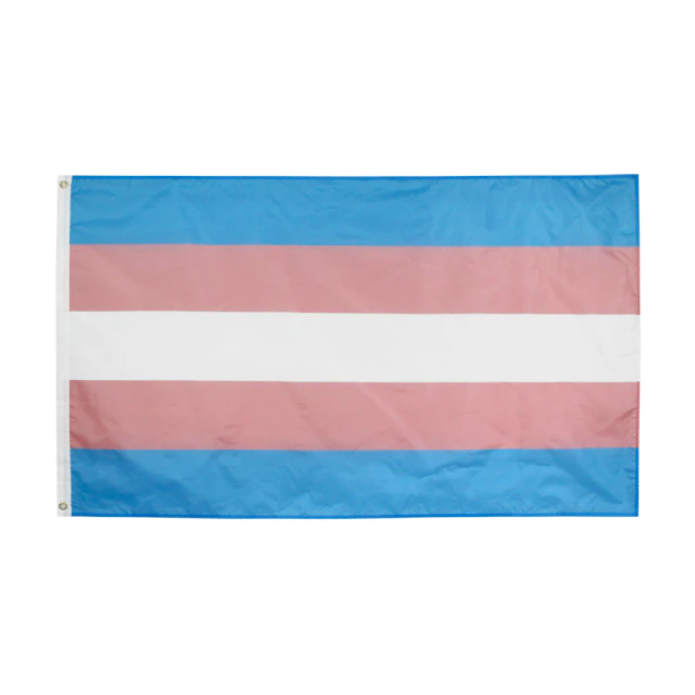 Picture of Transgender Pride Flag